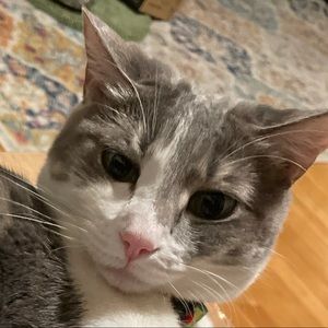 Meet your Posher, Joselyn